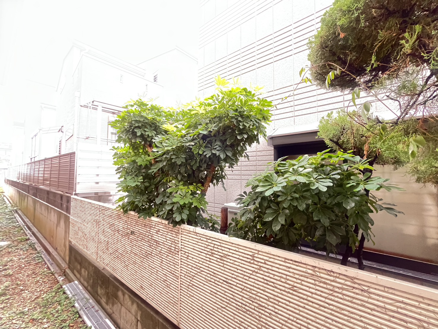 森マンションのその他写真
