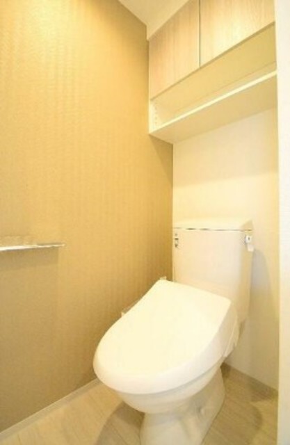 トイレ　カラータイプ異なります