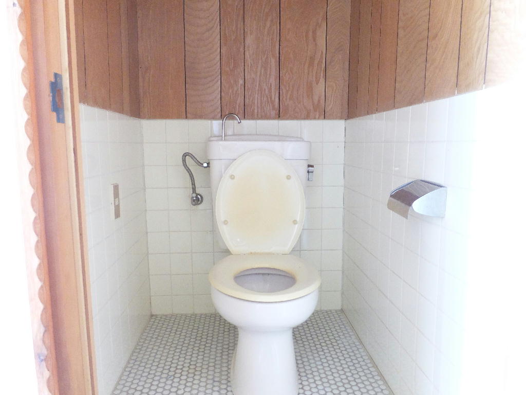 コーポ八坂野のトイレ写真