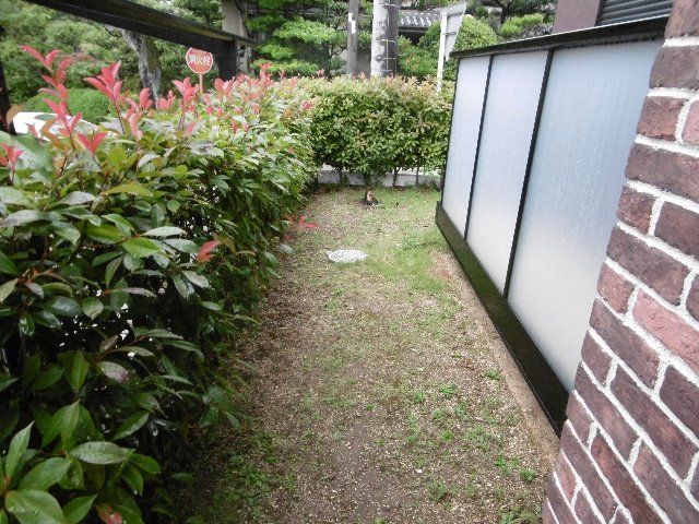 庭