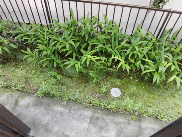 コーポ角田のその他写真