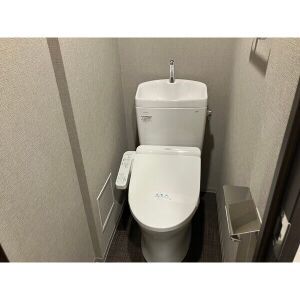 ブルーライン 阪東橋駅 徒歩4分 11階建 築7年のトイレ写真
