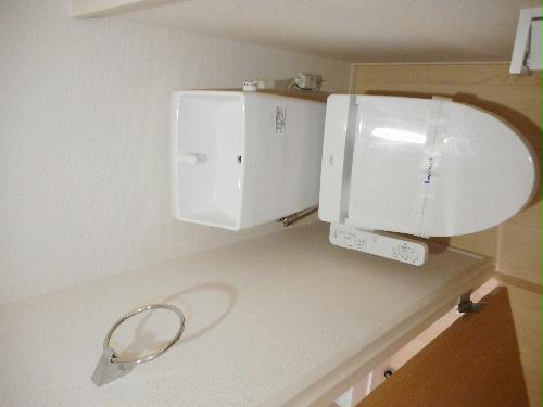 トイレ　温水洗浄便座設置