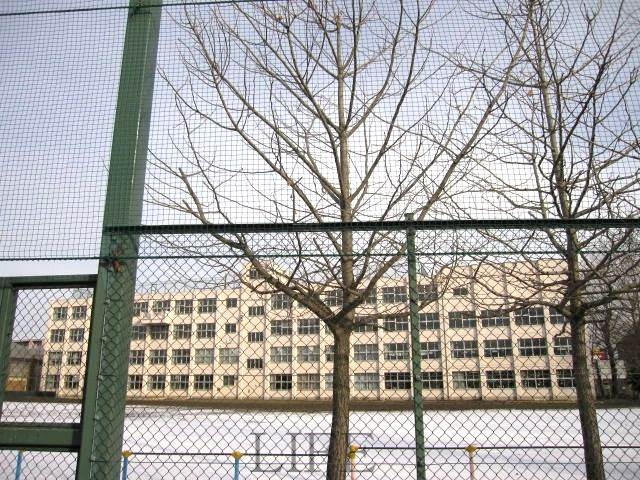 小学校　札幌市立菊水小学校（小学校）まで490m