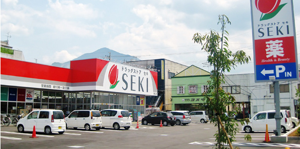 ドラックストア　ドラッグストアセキ鶴ヶ島店（ドラッグストア）まで751m
