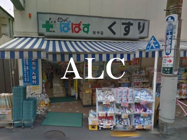 病院　どらっぐぱぱす 谷中店（病院）まで1054m