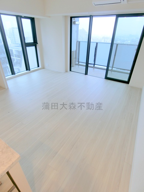居室・リビング　LDK14.2帖