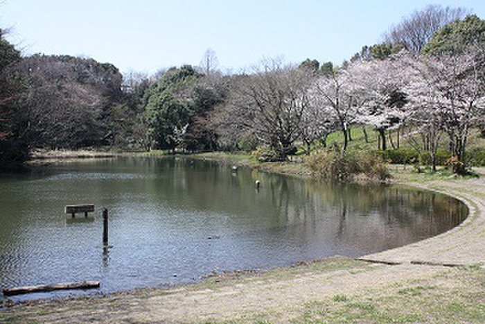 公園　鴨池公園（公園）まで300m