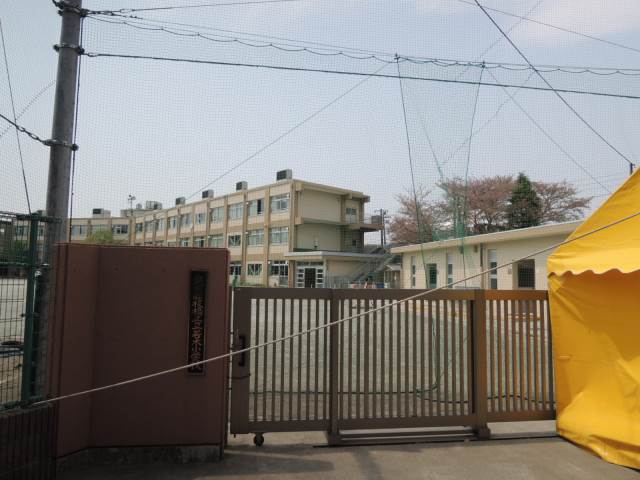 小学校　若木小学校（小学校）まで186m