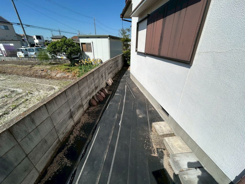 庭