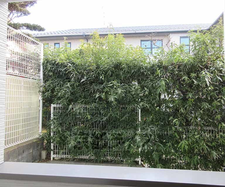 眺望　閑静な住宅街！