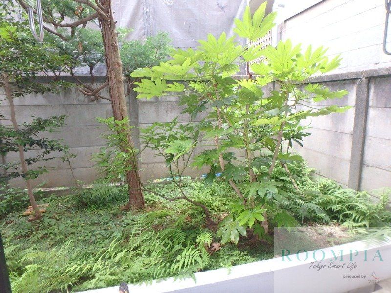 庭