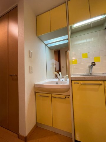洗面設備　同マンション別部屋参考写真
