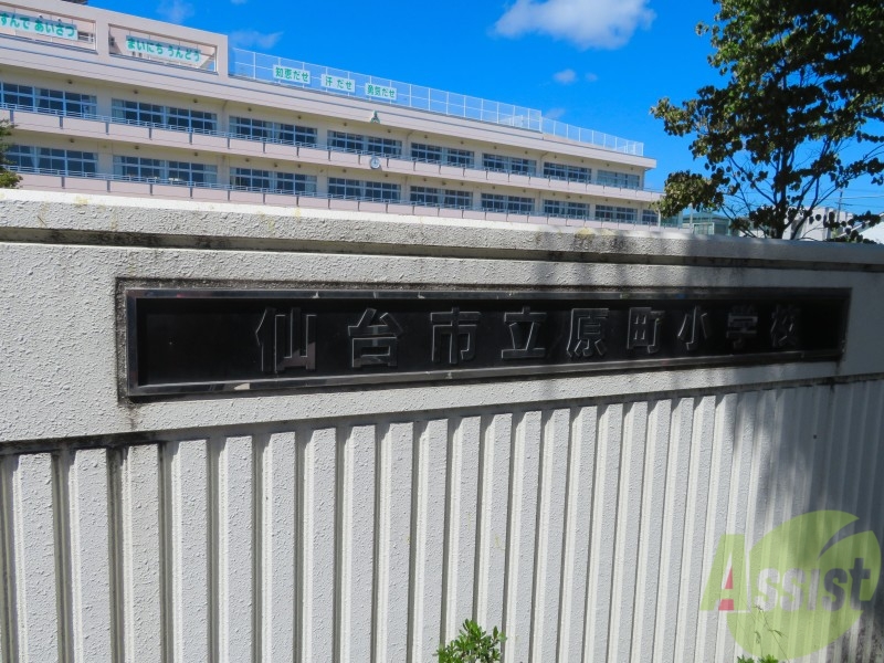 小学校　仙台市立原町小学校（小学校）まで628m