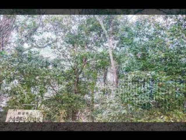 公園　小山田桜台6号緑地（公園）まで670m