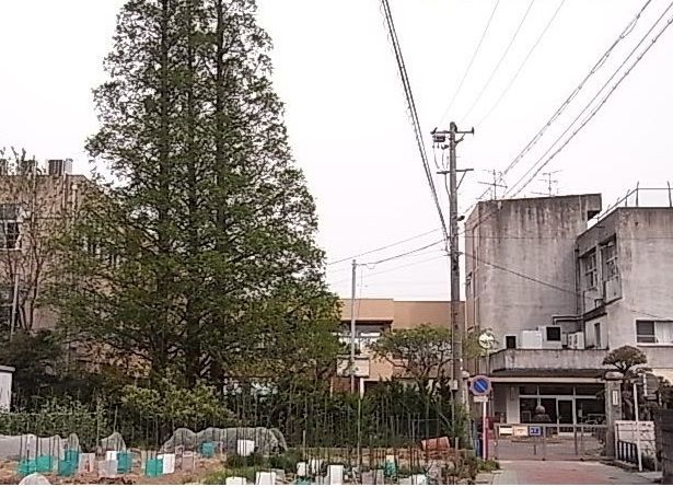 小学校　吉浜小学校（小学校）まで1400m
