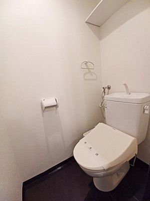 フランセジュール豊平三条のトイレ写真
