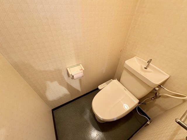 エグゼコート大在2のトイレ写真