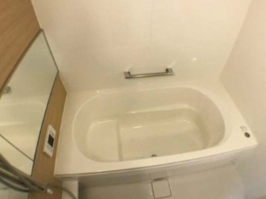 バス・シャワールーム　※同建物の別のお部屋の写真です。