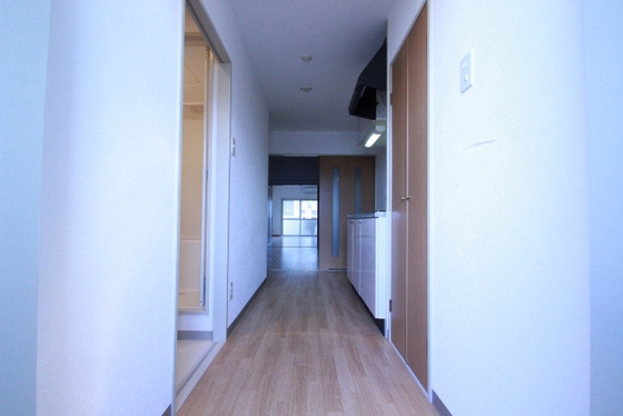 玄関　※他部屋の写真です。