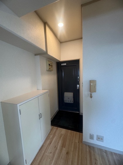 玄関　※別号室の写真です。