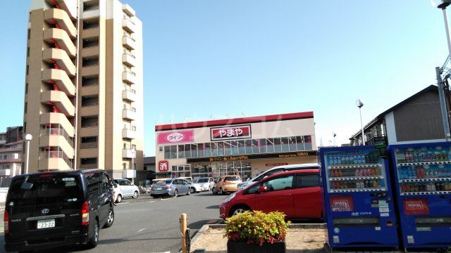 スーパー　やまや服部店（スーパー）まで228m