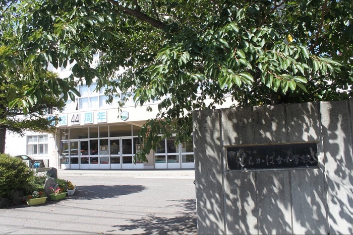 小学校　しらかば台小学校（小学校）まで800m