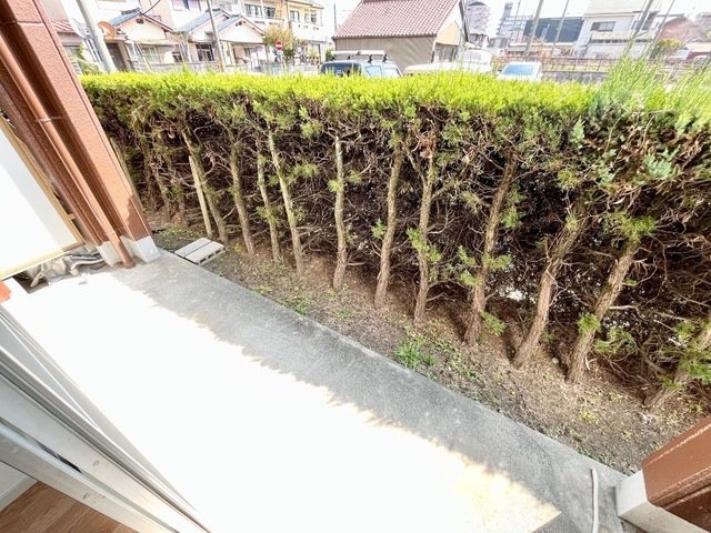 庭