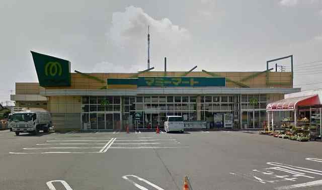 スーパー　マミーマート西浦和店（スーパー）まで828m