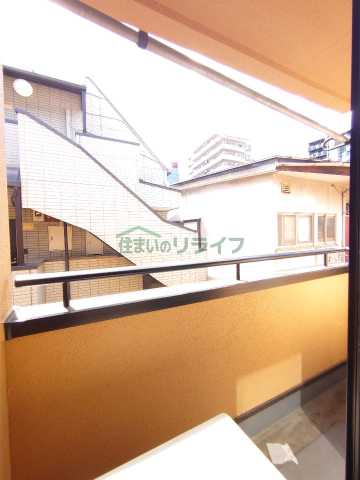 眺望　パームグローブ
