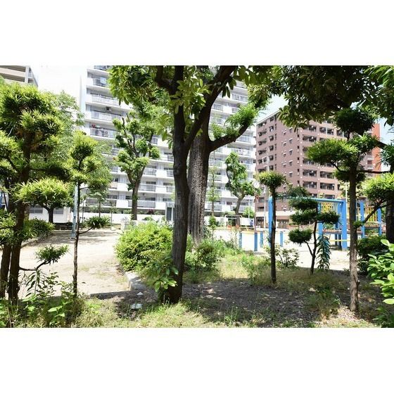 公園　中津公園（公園）まで653m