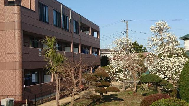 建物外観　外観写真（昼）