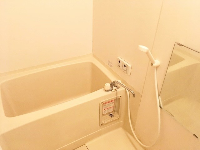 サープラスよこせきの風呂写真