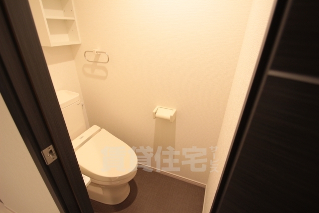 南海高野線 堺東駅 徒歩24分 3階建 築9年のトイレ写真