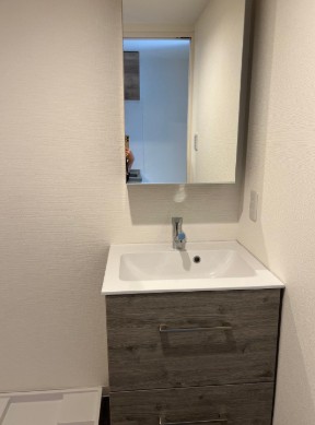 洗面設備　別部屋参考写真となります。