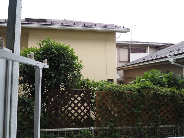 眺望　日当たり良好