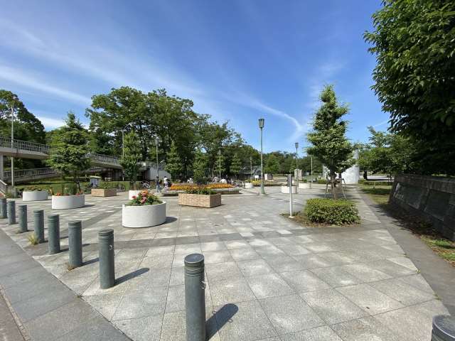 その他　湘南台公園（その他）まで196m