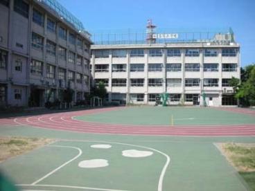 小学校　台東区立石浜小学校（小学校）まで617m