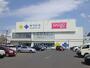 ドラックストア　サツドラ南11条店（ドラッグストア）まで375m