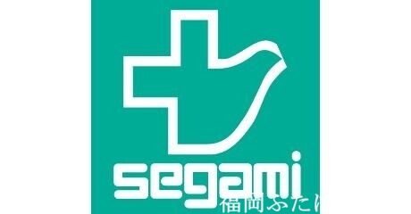 ドラックストア　ドラッグセガミ南福岡駅店（ドラッグストア）まで421m