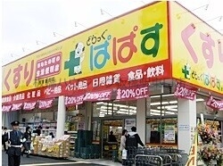 ドラックストア　どらっぐぱぱす赤塚新町店（ドラッグストア）まで535m