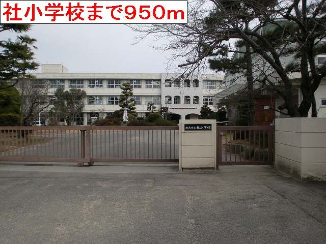 小学校　社小学校（小学校）まで950m