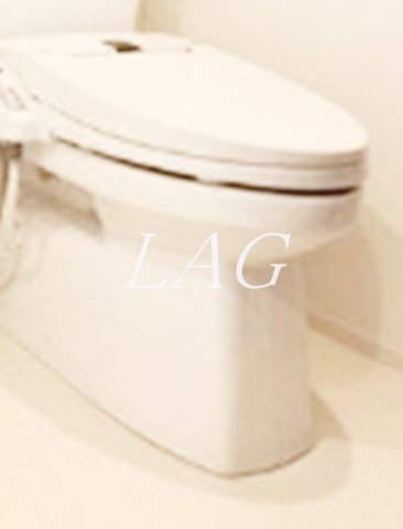 トイレ　トイレです。