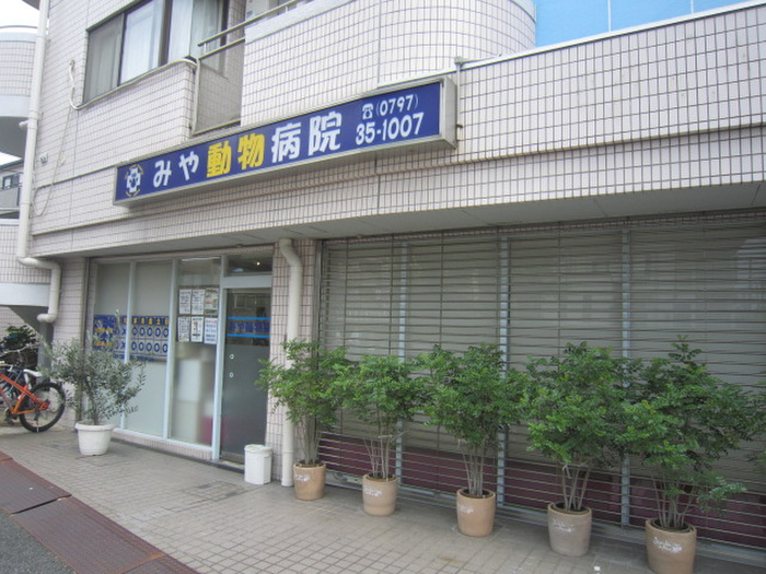 病院　どうぶつ病院（病院）まで250m