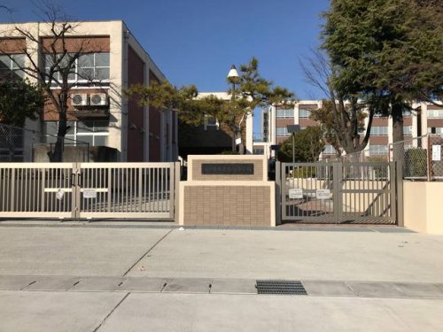 小学校　名古屋市立南陽小学校（小学校）まで482m