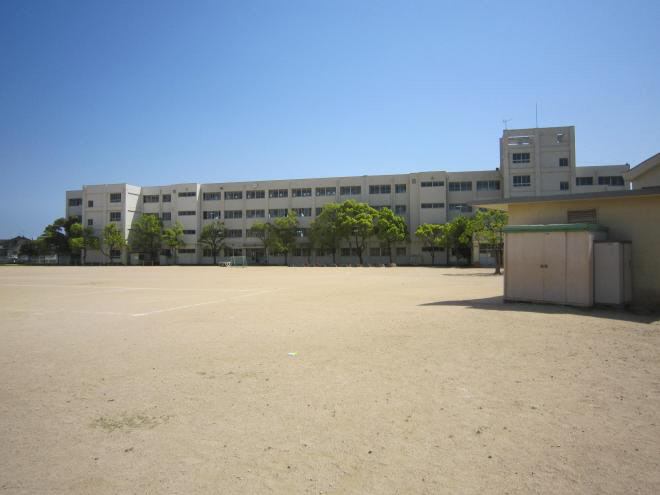 小学校　播磨西小学校（小学校）まで265m