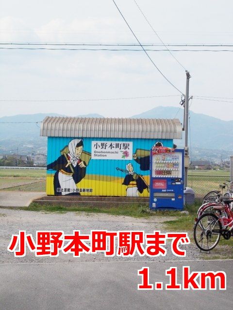 ミルトハウス:Dの周辺写真