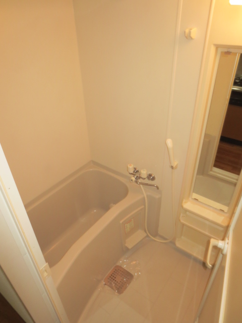 バス・シャワールーム　同物件、別の部屋の写真です