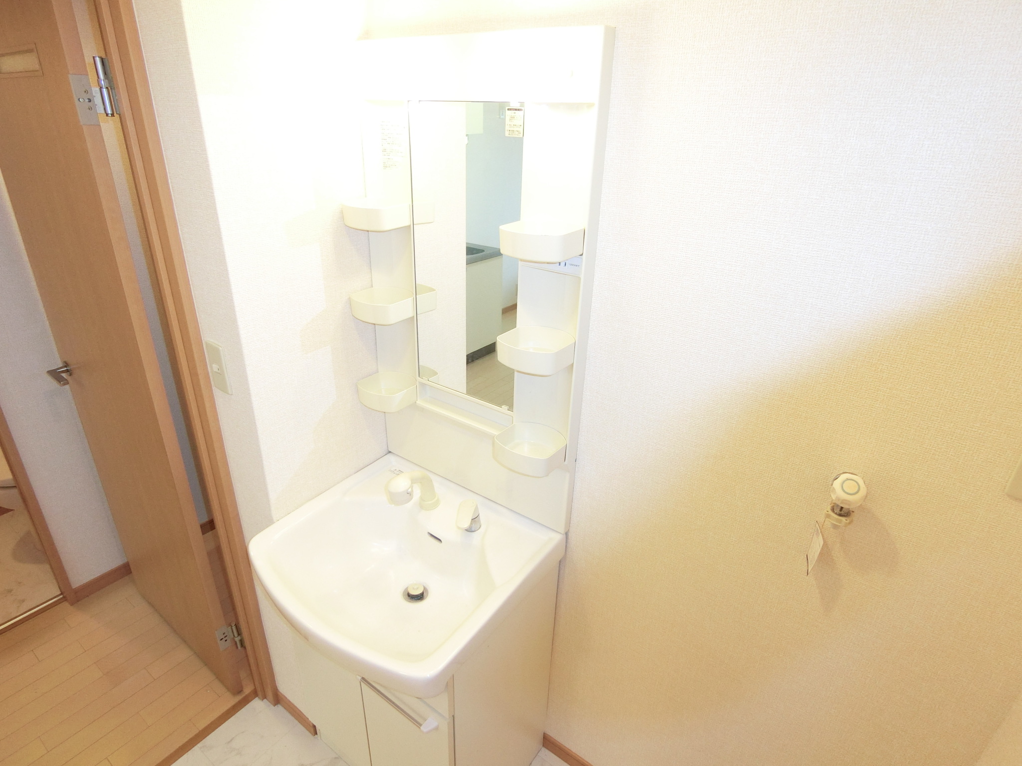 洗面設備　朝シャンできますぅ～