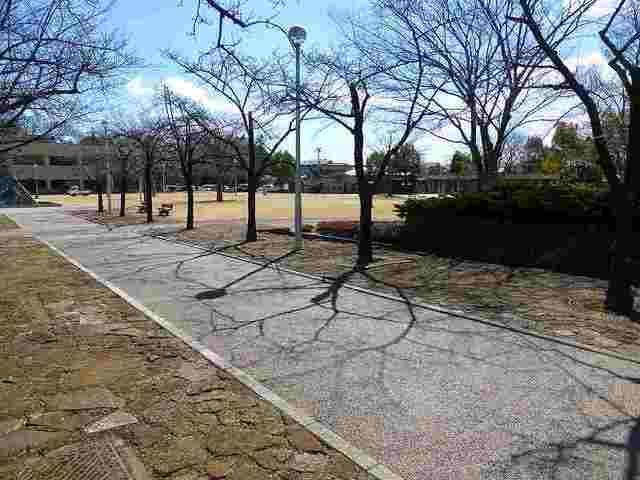 公園　城址公園（公園）まで900m